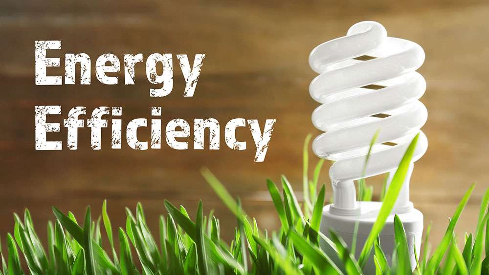 Energy-efficient light bulb in grass with "Energy Efficiency" text.