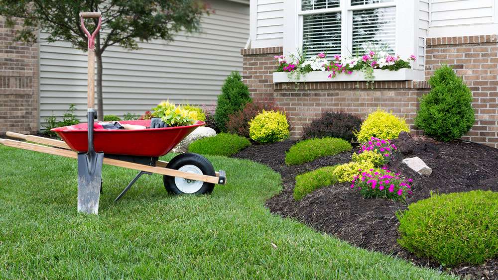 Planting a flower garden to help boost a home's curb appeal